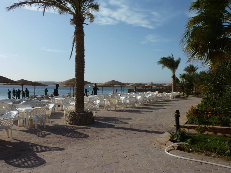 Außenbereich der Strandbar Fort Arabesque Resort, Spa & Villas
