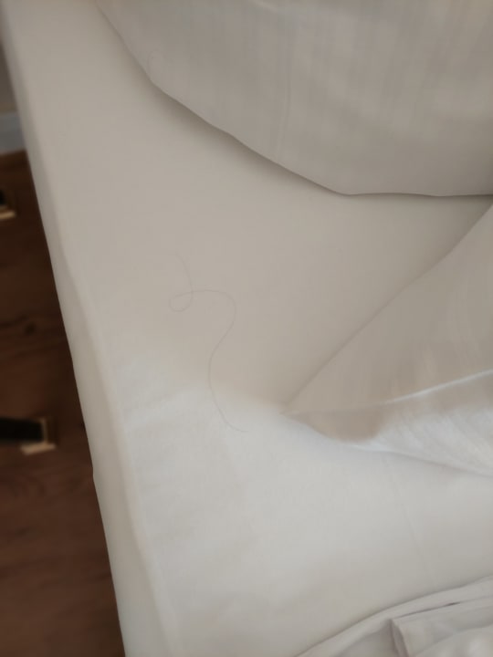 Zimmer Best Western Wein- & Parkhotel Nierstein