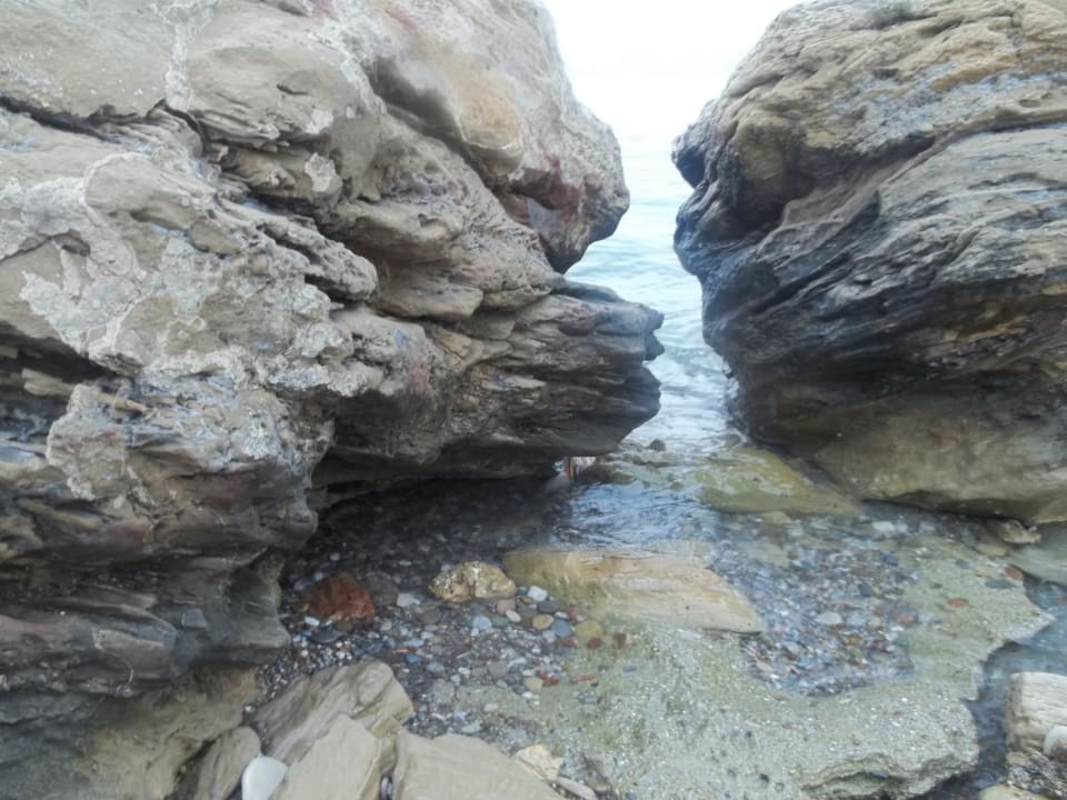 Auch am S)trand Hotel Gardenia Beach