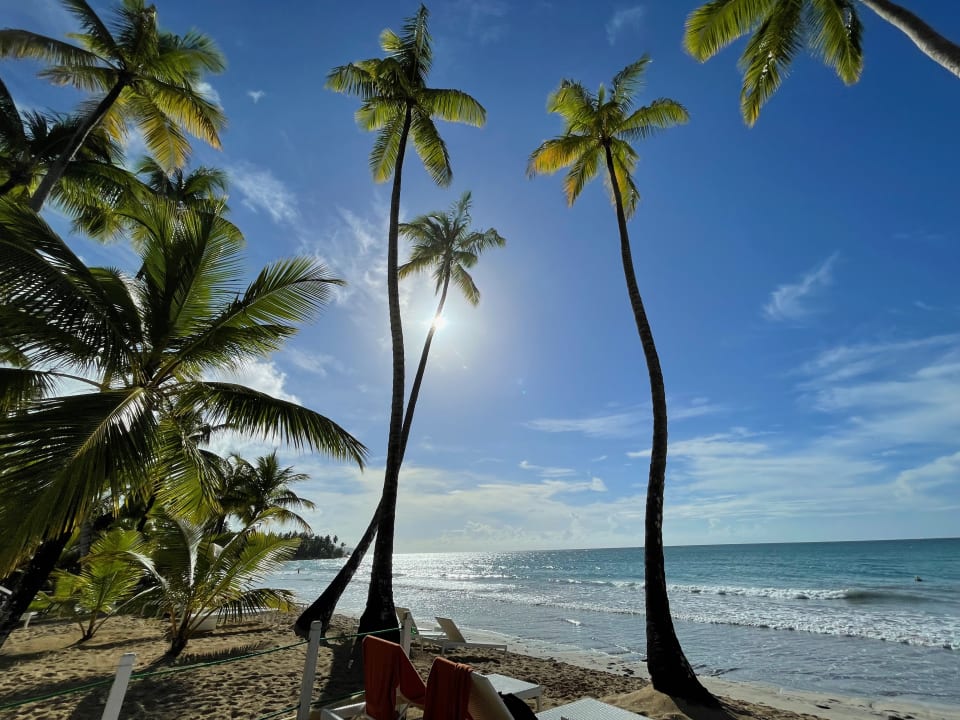 Strand Viva V Samana by Wyndham – Adults Only