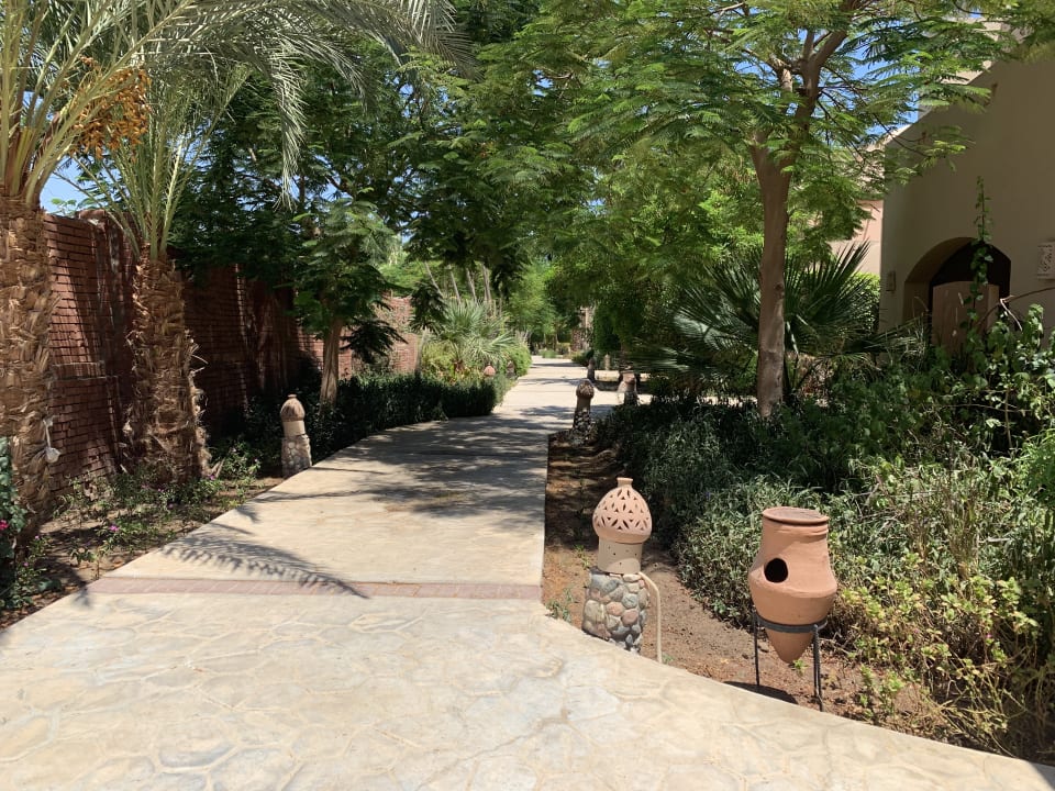 Außenansicht Shams Alam Beach Resort