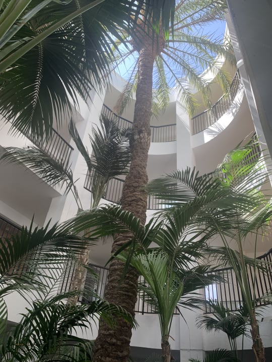 Sonstiges Hotel Riu Palace Maspalomas Adults Only