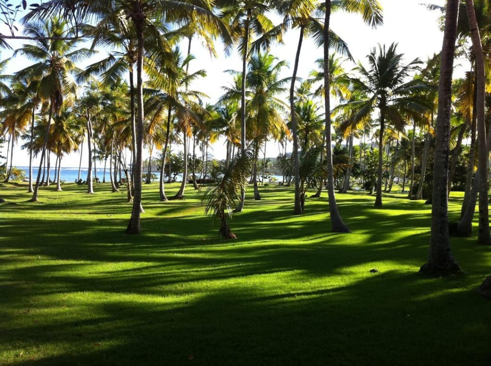 Rasen zum Strand Wyndham Alltra Samana