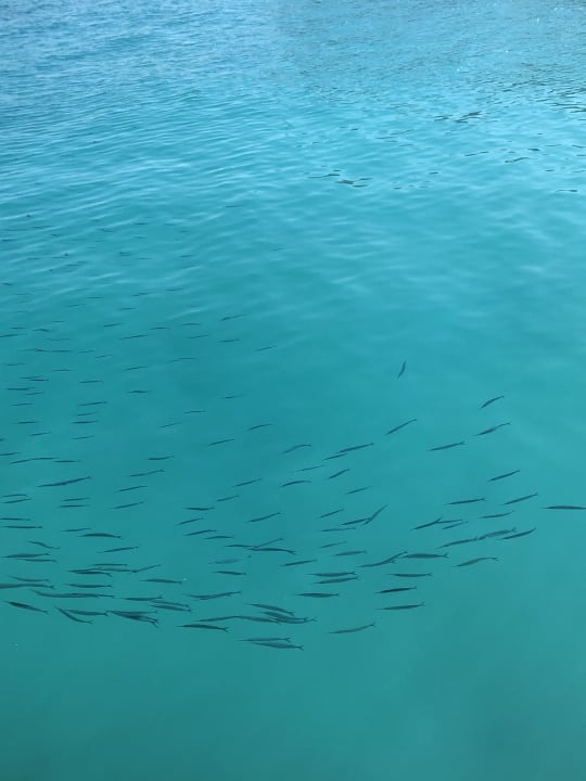 Strand Pickalbatros Citadel Resort