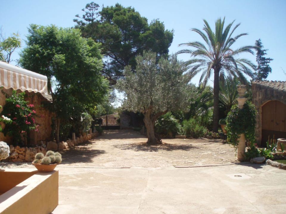 Hof in Son Pieras Finca Son Pieras