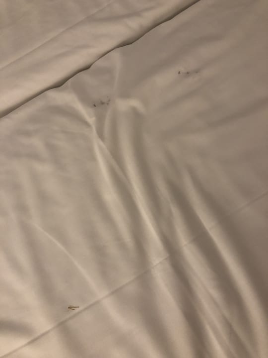 Zimmer Melissi Beach Hotel & Spa