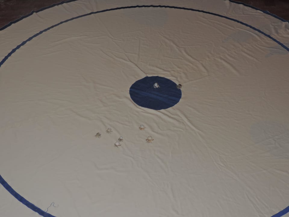 Krabbenrennen Veligandu Maldives Resort Island