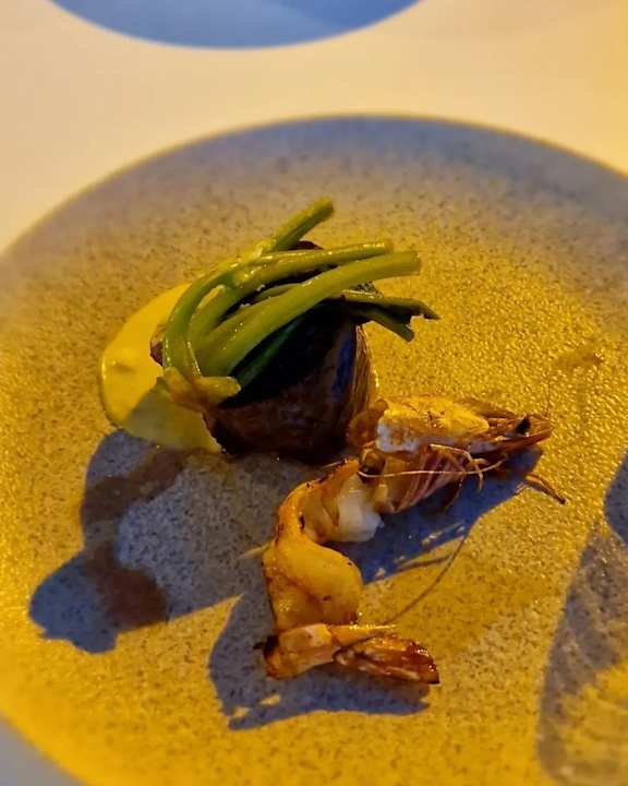 Gastro Acanthus Cennet Barut Collection