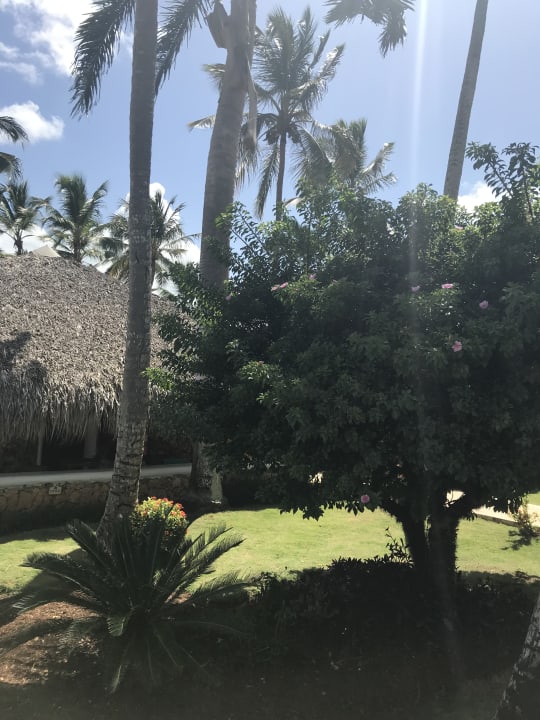 Gartenanlage Hotel Viva Dominicus Beach by Wyndham - All Inclusive Resort