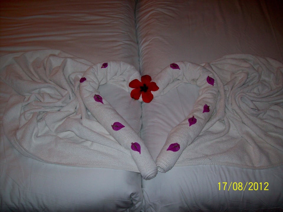Aufmerksamkeit der Putzfrau Sentido Djerba Beach