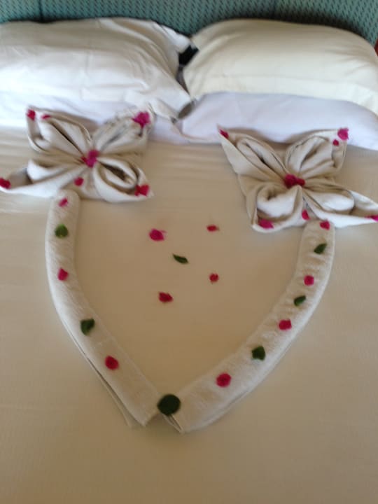 Zimmer Pickalbatros Citadel Resort