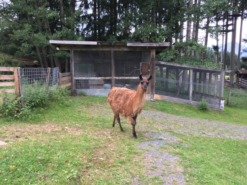 Gartenanlage Hotel Chalets Grosslehen