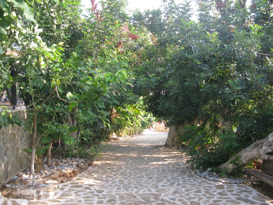 Way to room Stone Village Petrino Horio