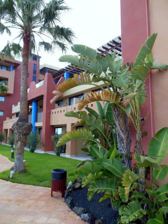 Gepflegte Gartenanlage H10 Tindaya