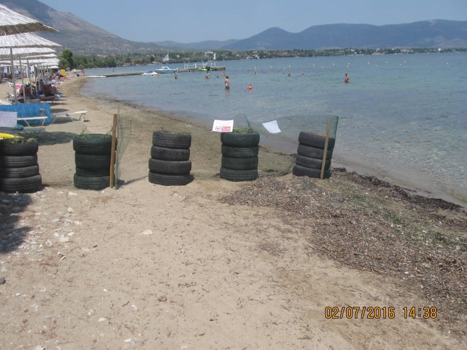 Sperrung für die freilaufende Hunde Brown Beach Eretria