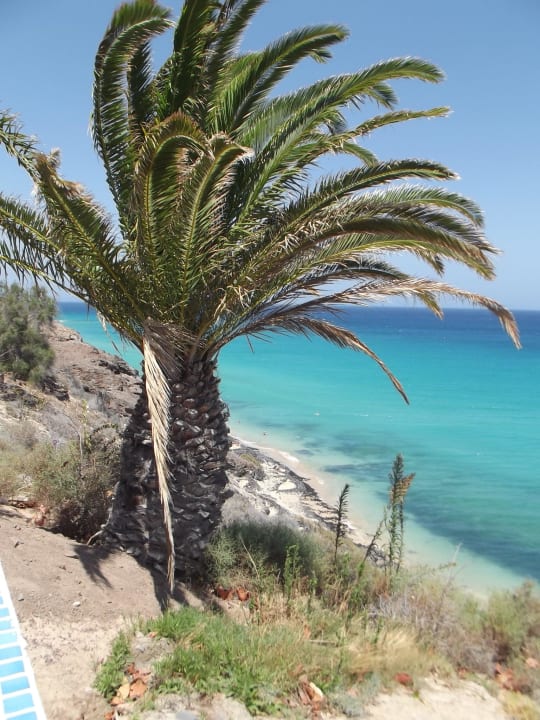 Strand bei Flut SBH Club Paraiso Playa