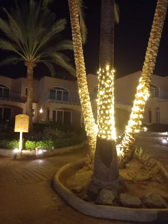 Gartenanlage Club Paradisio El Gouna, Red Sea