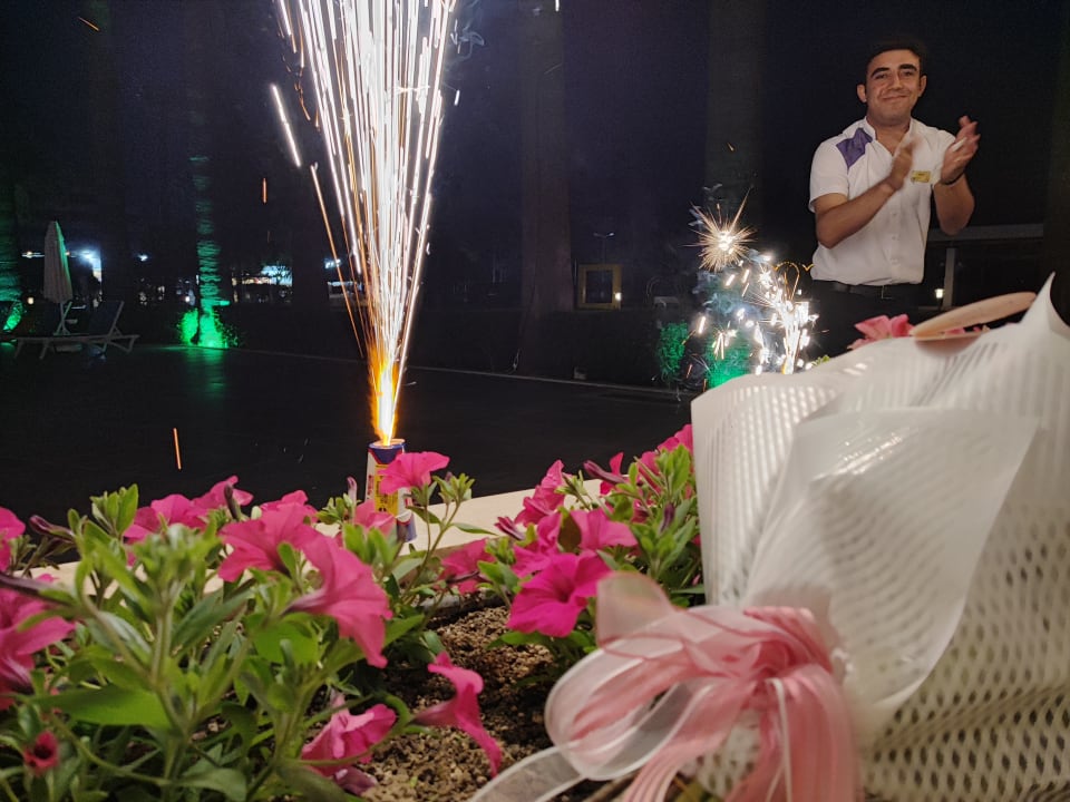 Gastro Asteria Collection Side