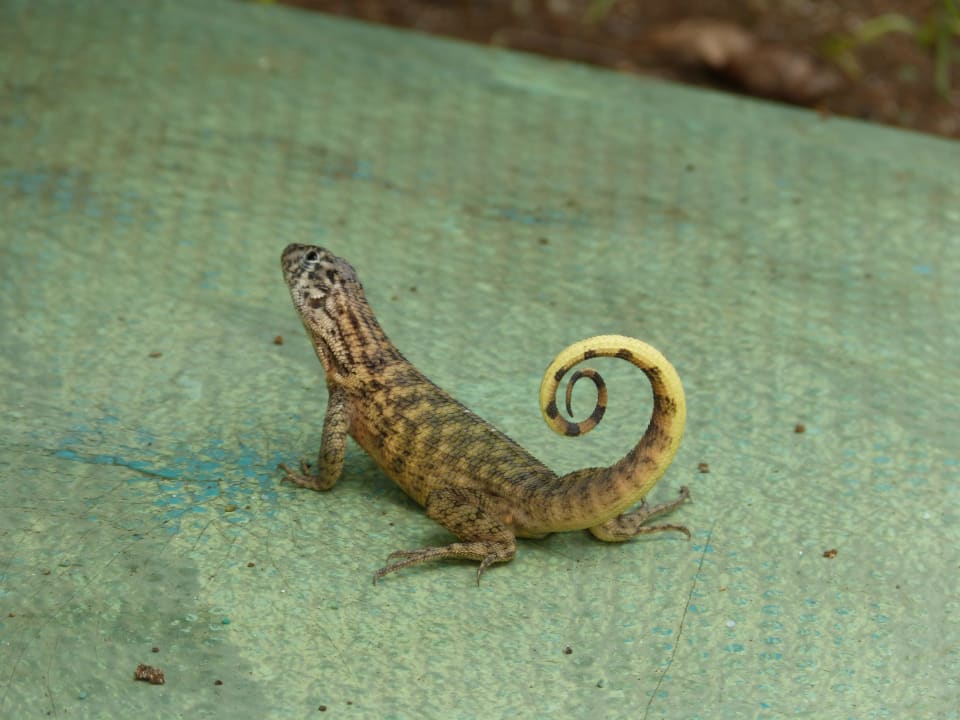 Im Hotelgarten Blau varadero - Adults only