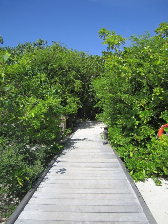 Laufsteg zur Insel von den Villen aus NH Collection Maldives Reethi Resort