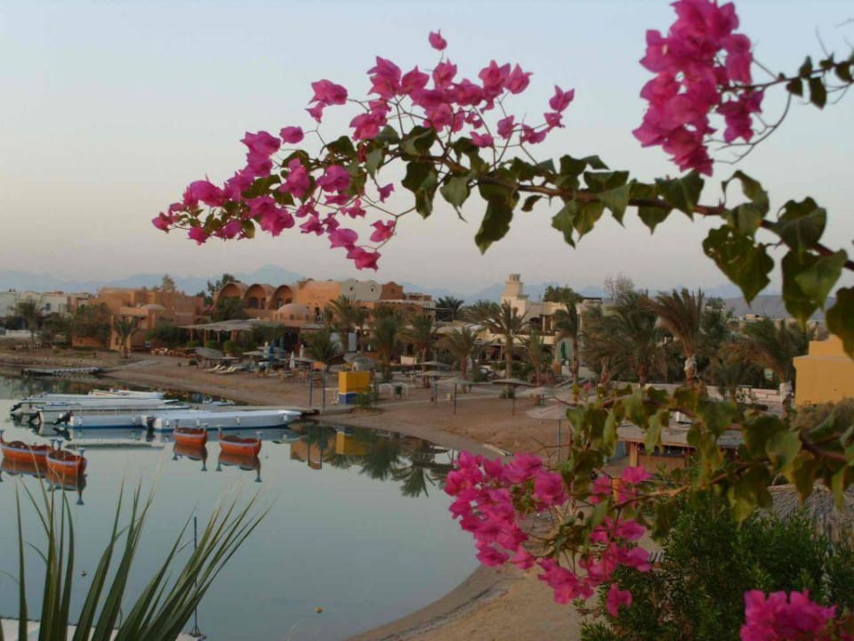 Blick vom Balkon Sultan Bey Hotel, El Gouna