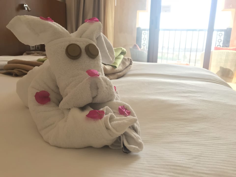 Zimmer DoubleTree by Hilton Resort & Spa Marjan Island