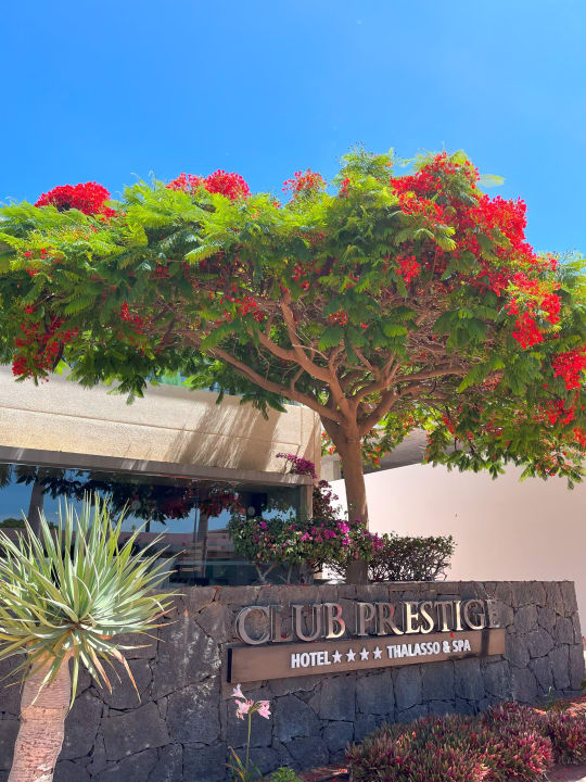 Gartenanlage Hotel Costa Calero