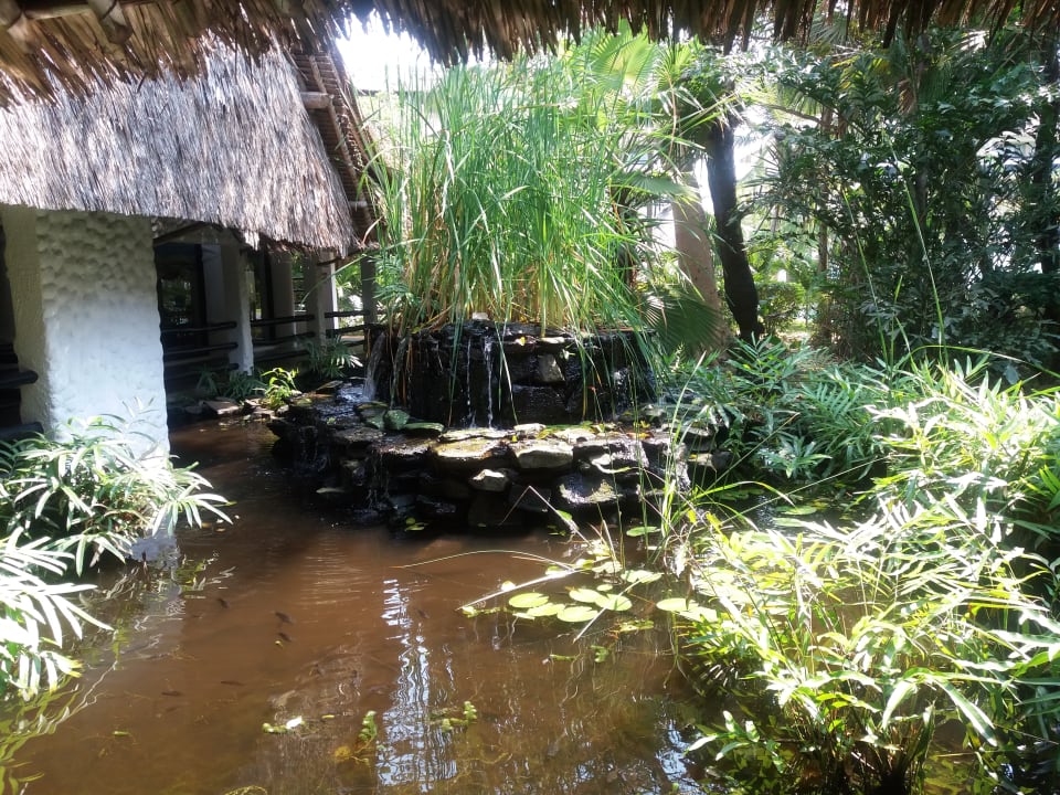 Gartenanlage Hotel Southern Palms Beach Resort