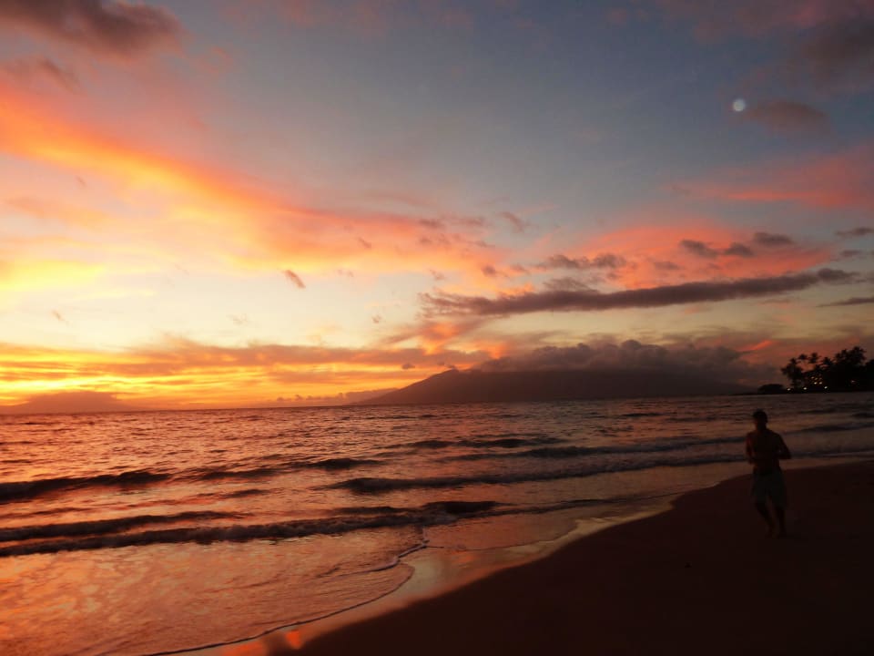 Blick zum Strand Hotel Four Seasons Resort Maui at Wailea