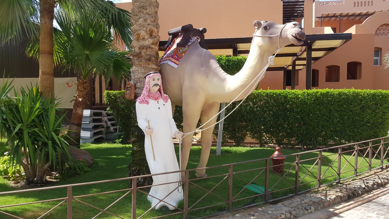 Gartenanlage Jaz Makadi Oasis Resort