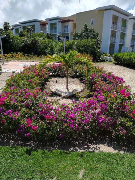 Gartenanlage Playa Cayo Santa Maria