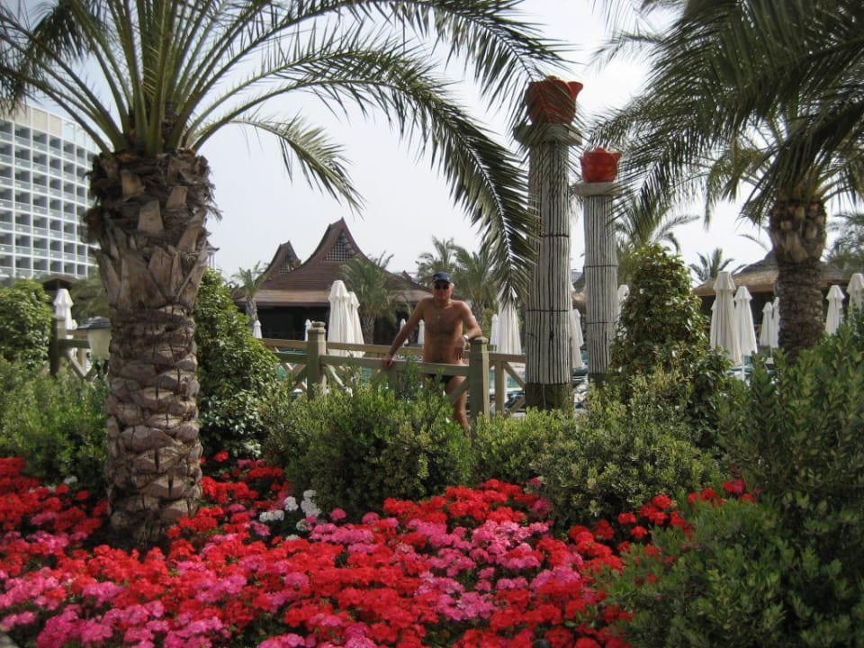Gartenanlage Royal Wings Hotel