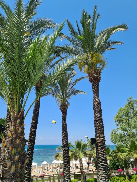 Strand PALOMA Perissia