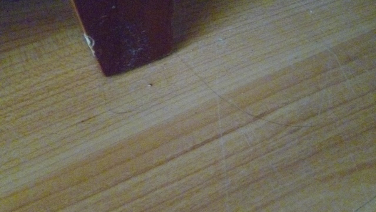 Sauber? BLUESEA Gran Cervantes