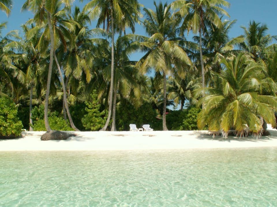 Trauminsel Meeru Maldives Resort Island