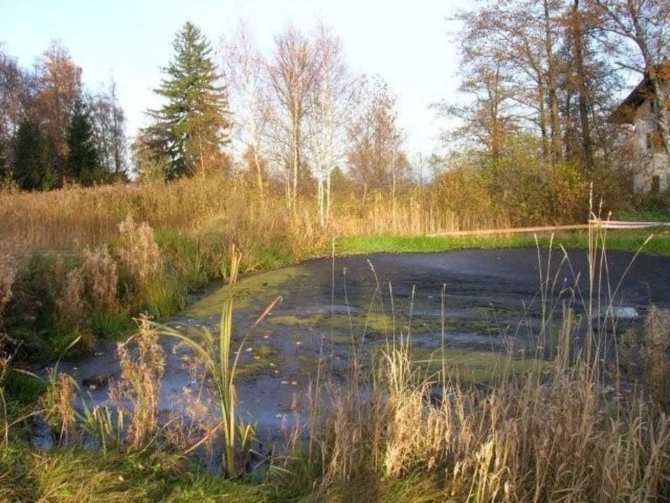 Moorstich Kurhotel Lauter im Park