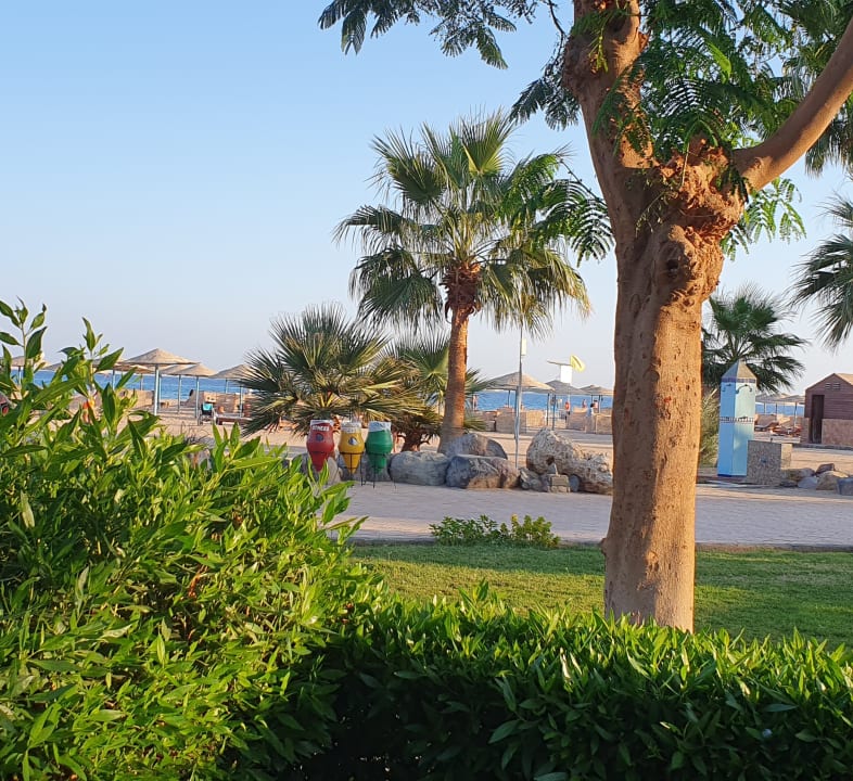Gartenanlage Shams Safaga Resort