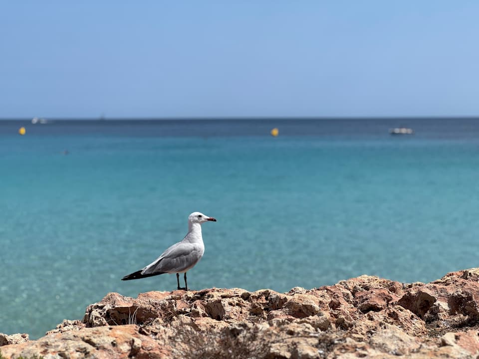 Strand Grupotel Aldea Cala'n Bosch