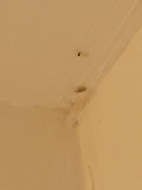 Zimmer Sunrise Resort Hotel