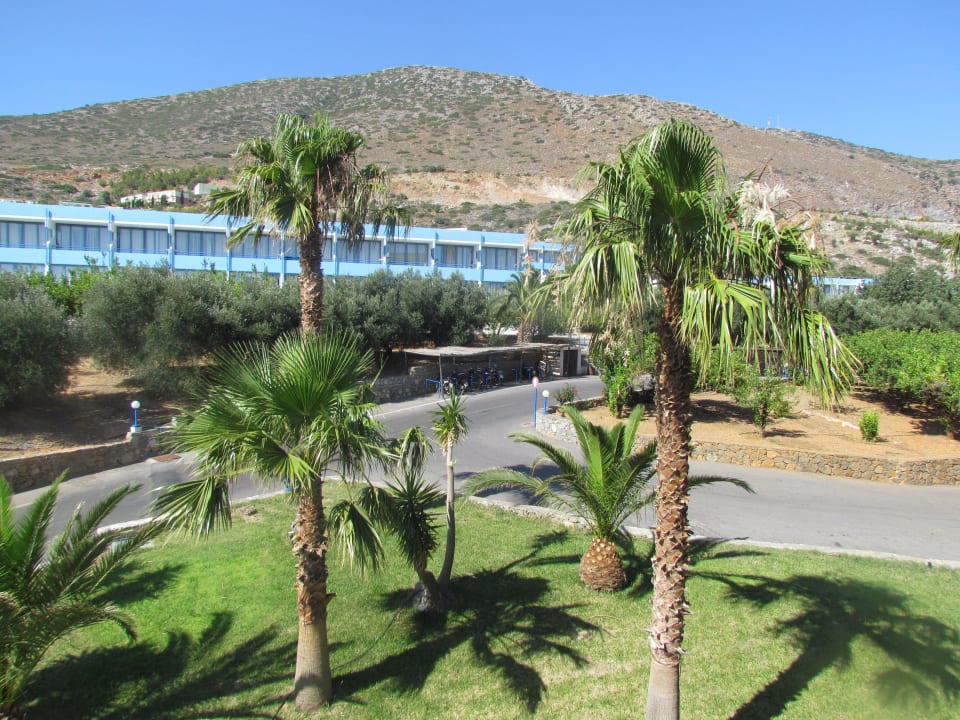 Widok z naszego balkonu Royal & Imperial Belvedere Resort