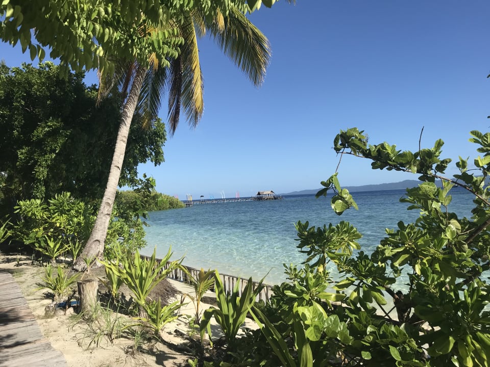 Strand Raja Ampat Dive Lodge