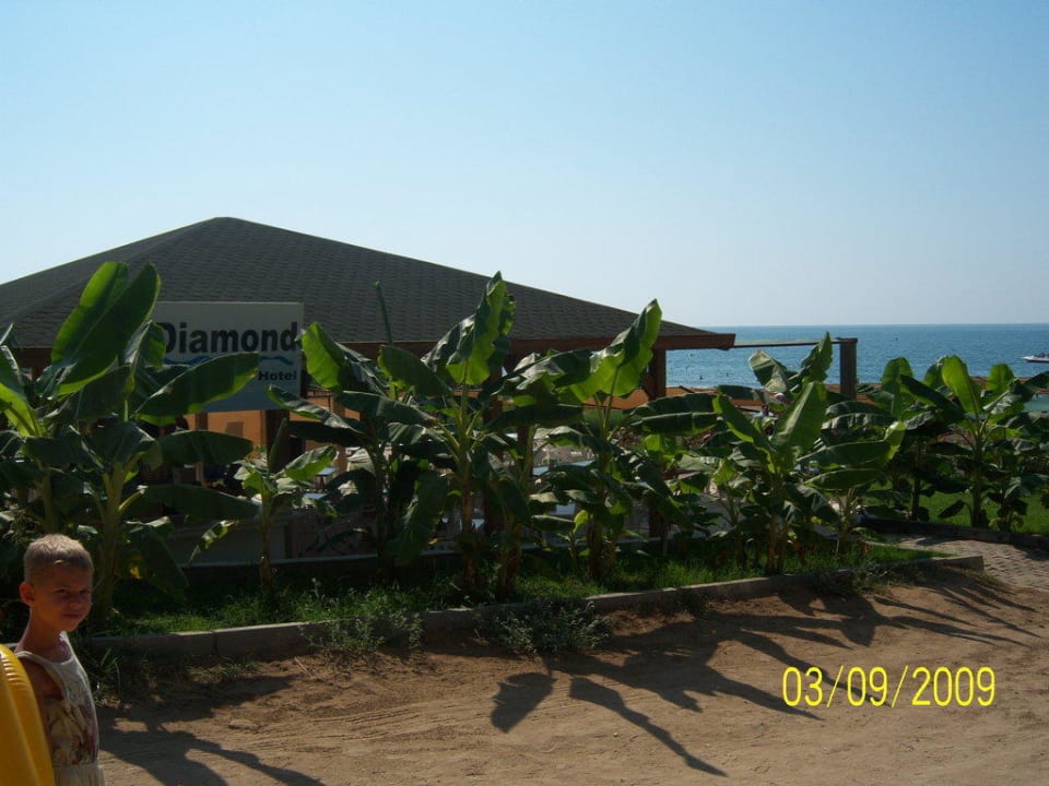 Strandbar Side Aluna Hotel