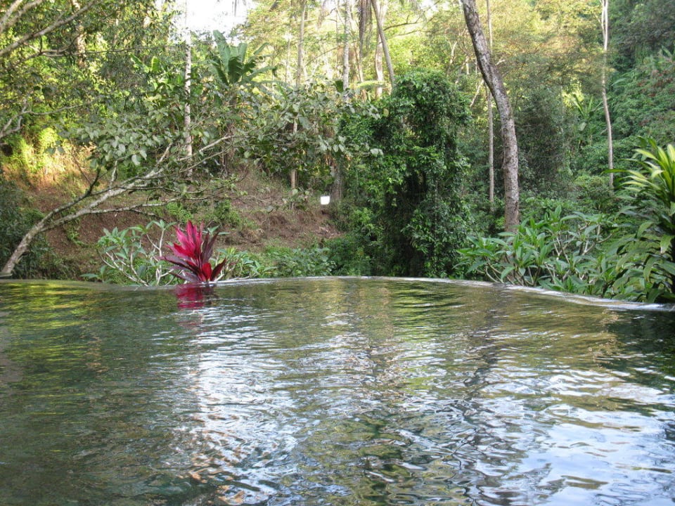 Pool beim SPA-Bereich Maya Ubud Resort & Spa Bali
