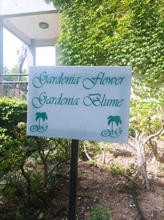 Sonstiges Hotel Gardenia Beach