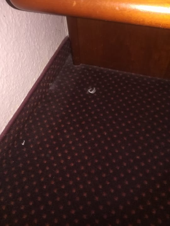 Zimmer Seehotel Brandenburg a.d. Havel