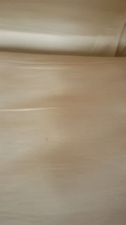 Zimmer Hotel Roc Barlovento