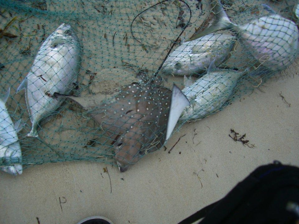 Ausbeute der Fischer Berjaya Beau Vallon Bay Resort & Casino