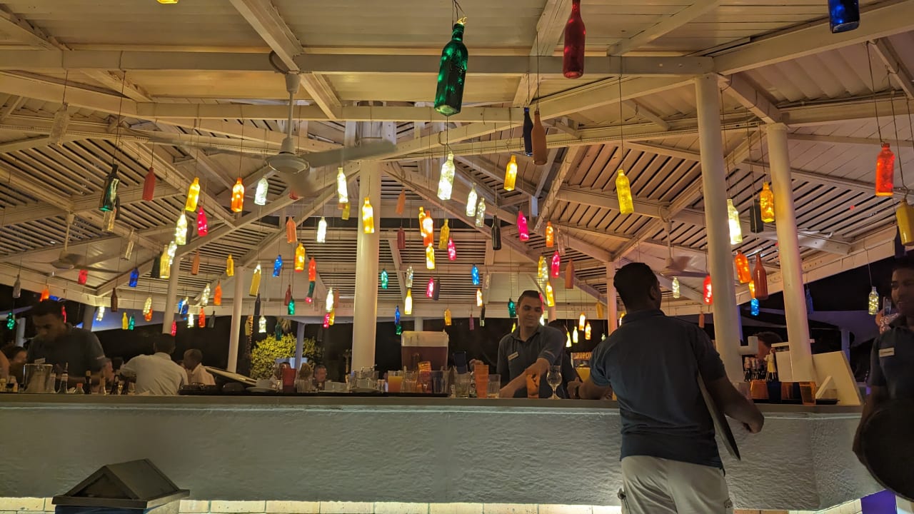 Sonstiges Desert Rose