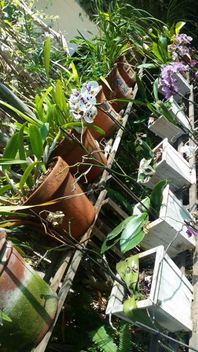 Gartenanlage Suite Hotel Eden Mar - PortoBay