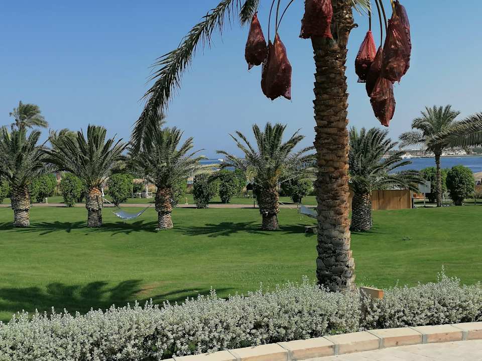 Gartenanlage Fort Arabesque Resort, Spa & Villas
